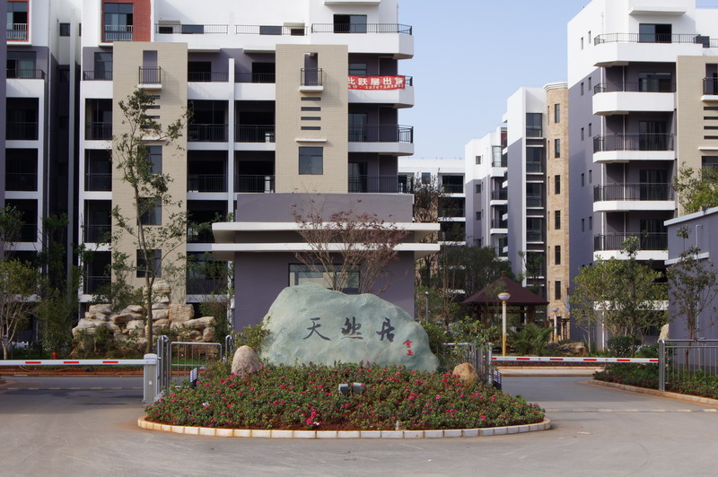 ��Ȼ�Ӄ�(n��i)����(sh��)��